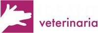 Logo-Horizontal-Ideant-Rosa-Blanc